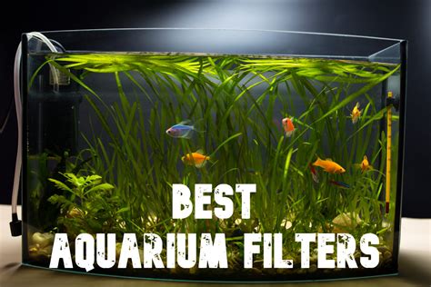 The Best Aquarium Filters of 2020 ???? (Top 10 Picks)