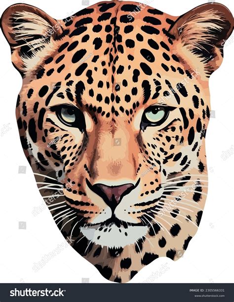 Leopard Face Clip Art