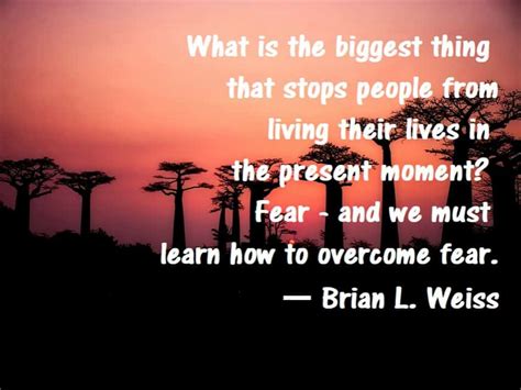 Brian Weiss Quotes Past-Life Regression - WellnessWorks