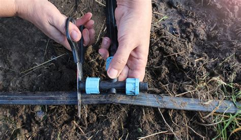 How Long Does It Take To Install A Drip Irrigation System?