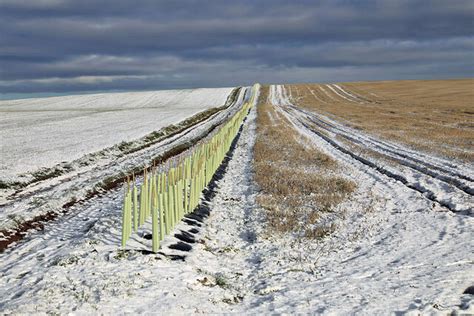 Winter farmland at the East Coast © Walter Baxter cc-by-sa/2.0 :: Geograph Britain and Ireland