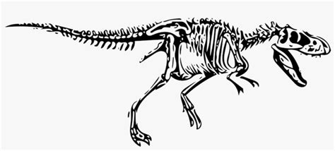 Dinosaur, T-rex, Tyrannosaurus, Fossil - Tyrannosaurus Rex Skeleton Svg ...