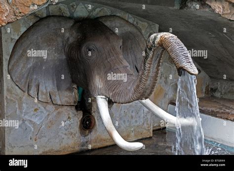 elephant trunk fountain water spout unusual different water artificial cascade Stock Photo - Alamy