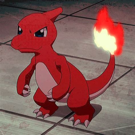 welcome! | Pokemon charmander, Charmeleon pokemon, Pokemon