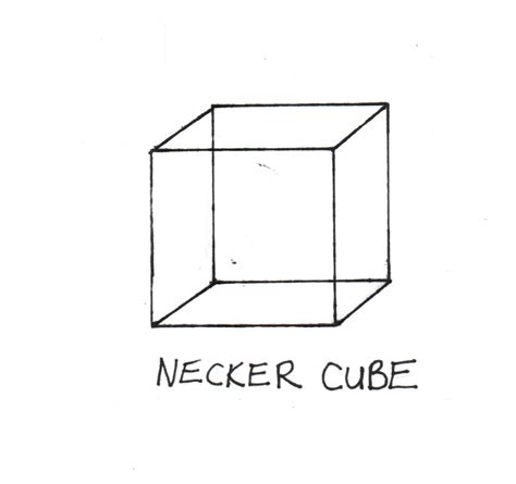 The Necker Cube Lie | The Many Rants of Larry Russwurm