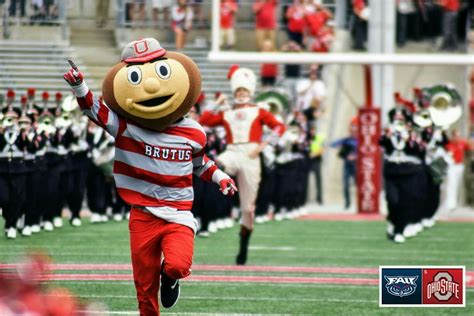 Go bucks let some fun with brutus buckeye and tbdbitl woo hoo🎉🎉🎉🌰🌰🌰 | Brutus buckeye, Brutus ...