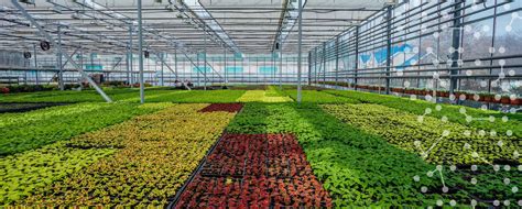 Smart greenhouses and controlled environment agriculture - The Agrotech Daily