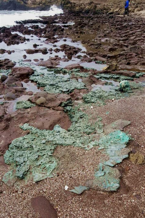 Plastistones: Rocks formed from plastic pollution a ‘terrifying’ find | The Straits Times