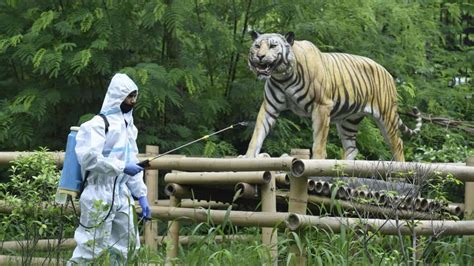 Delhi zoo set to reopen today in two shifts, ticket booking goes online | Latest News Delhi ...