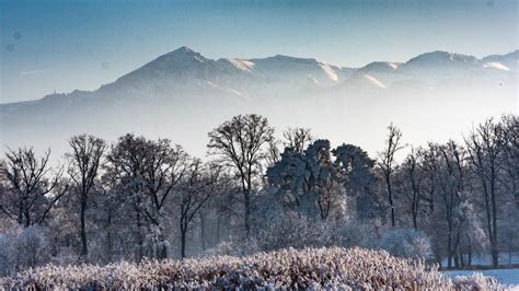 Winter Photo Tour of Romania in February - Romania Photo Tours