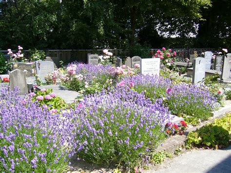 Image*After : photos : janny graveyard flowers tombstone tombstones cemetery