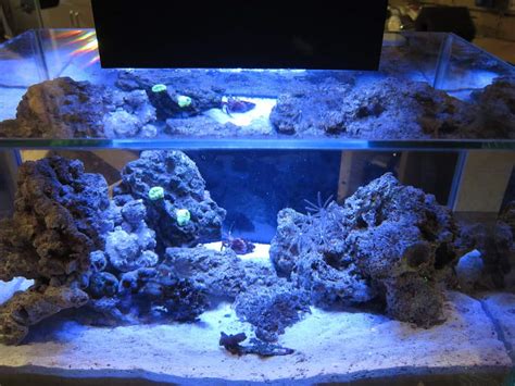 Best LED Aquarium Lighting For Plants - FishTankAuthority.com