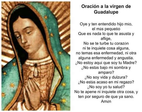 Oración virgen de Guadalupe | Catholic quotes, Catholic prayers daily ...