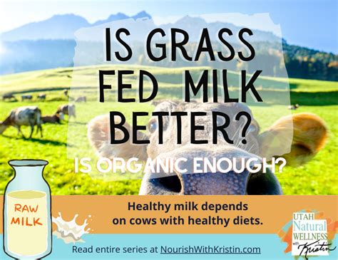 Why Grass fed milk is better — Nourish with Kristin