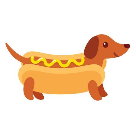 Dachshund Puppy In Hot Dog Bun With Mustard, Funny Cartoon Drawing. Cute Weiner Dog Vector ...