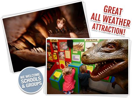 Welcome to The Dinosaur Museum - Dorset | Dinosaur museum, Dinosaur, Museum