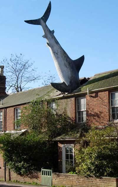 Shark House – A New House