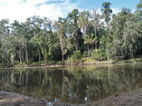 Meadowvale Nature Park - Rosedale Rd, Meadowvale QLD 4670, Australia