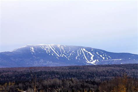 Saddleback Non-Profit Hosts Public Forum | First Tracks!! Online Ski ...