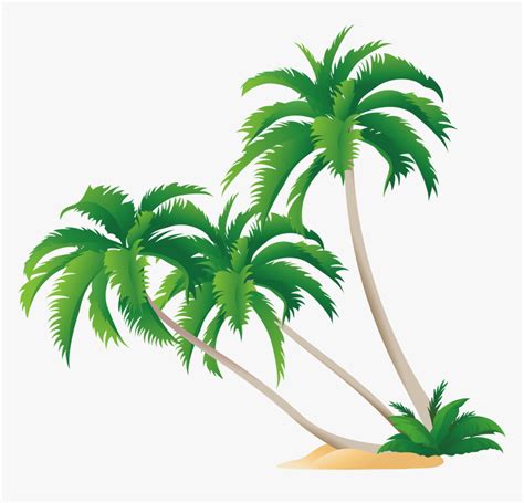 Transparent Coconut Tree Png - Coconut Tree Vector Png, Png Download , Transparent Png Image ...