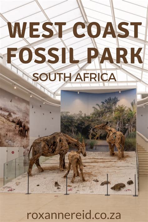 Why you should visit the West Coast Fossil Park - Roxanne Reid - Africa Addict