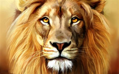 Download Animal Lion HD Wallpaper