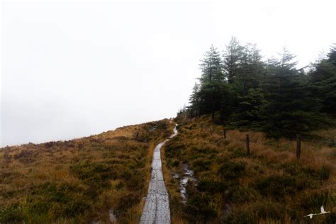 Hiking in the Wicklow Mountains - themigratorybirds.com