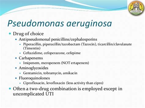 Antibiotics For Pseudomonas Aeruginosa Uti - Carpet Vidalondon