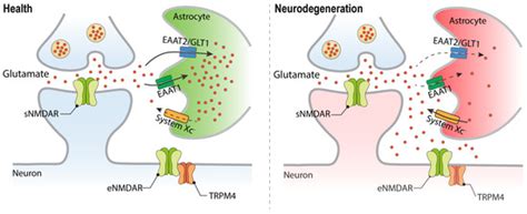 Pharmaceuticals | Special Issue : NMDA Receptor-Based Therapeutics