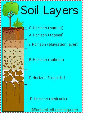 Soil Layers - Enchanted Learning