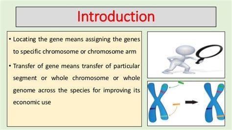 Cytogenetic techniques for gene location and transfer