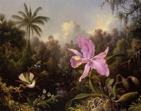 TROPICALIZER: Martin Johnson Heade // Orchids and Hummingbirds