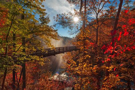 Fall Colors in Georgia 2024: When and Where To Get the Best Views