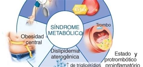 ¿Qué es el síndrome metabólico? - Federación Mexicana de Diabetes, A.C.