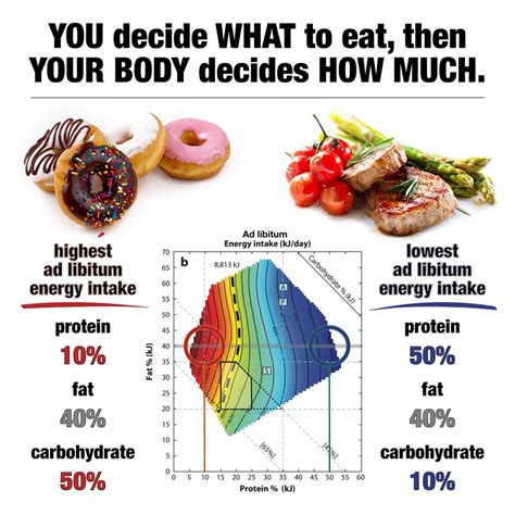 Nutrient Density 101 - Optimising Nutrition