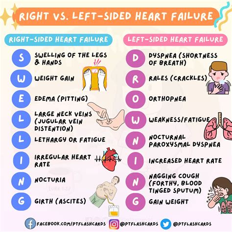 PT flashcards on Twitter: "CARDIOVASCULAR: RIGHT-SIDED AND LEFT-SIDED ...