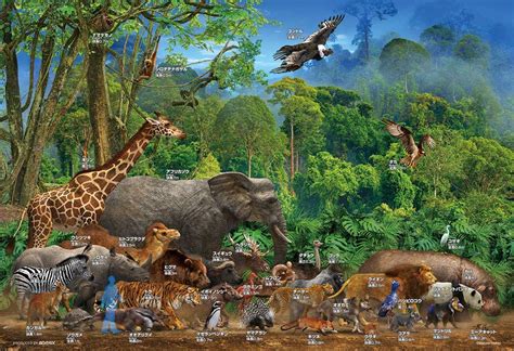 100 piece jigsaw puzzle animal size comparison - Discovery Japan Mall