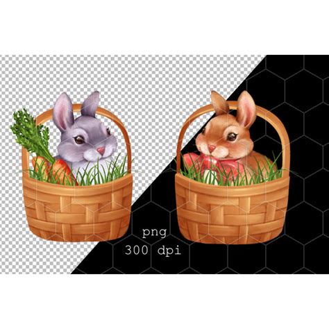 Rabbits in baskets. PNG clipart. Bunny PNG clipart - Inspire Uplift