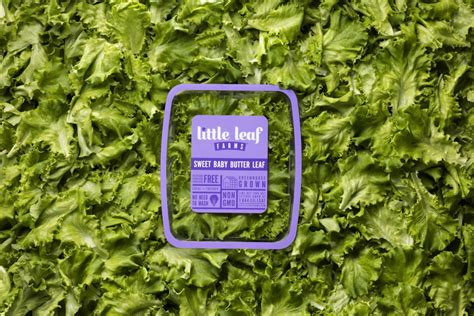 Little Leaf Farms Introduces Sweet Baby Butter Leaf Lettuce | Refrigerated & Frozen Foods