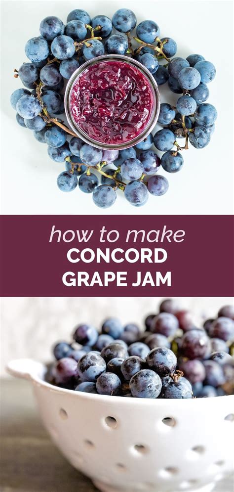 Concord grape jam – Artofit