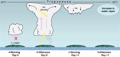 Schematic diagram of the stages of tropical continental thunderstorm ...