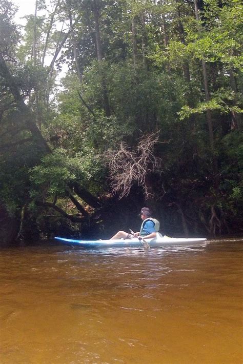 Touring Blackwater River State Park~