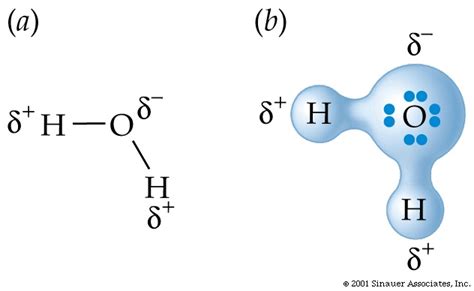 Polar Covalent Bond Lewis Structure