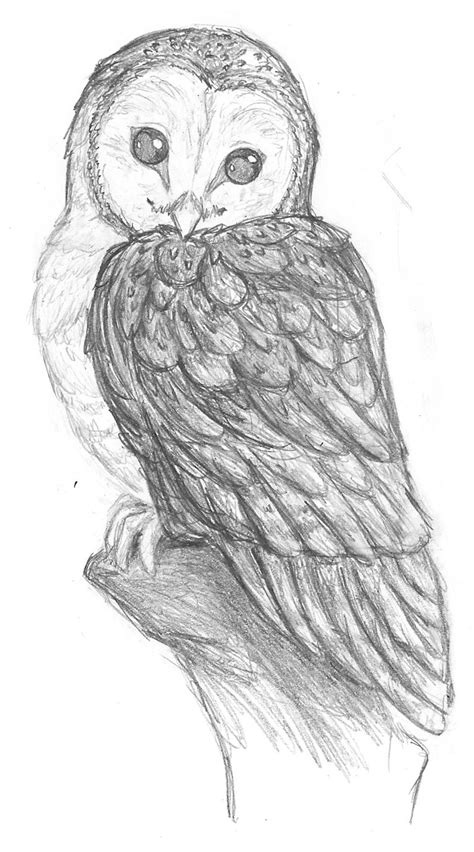 pegasusqueen barn owl pencil by the-snow-fox on deviantART | Pintura de coruja, Desenhos de ...