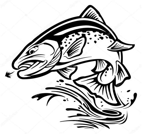 Trout — Stock Vector © SlipFloat #43146183