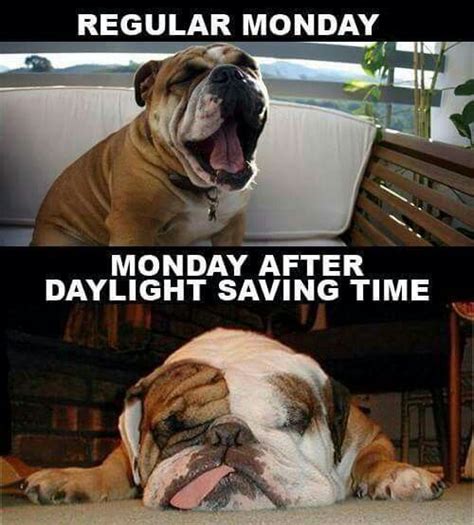 I hate daylight savings! | Just for Fun | Pinterest | Purple, Daylight savings time and Lol