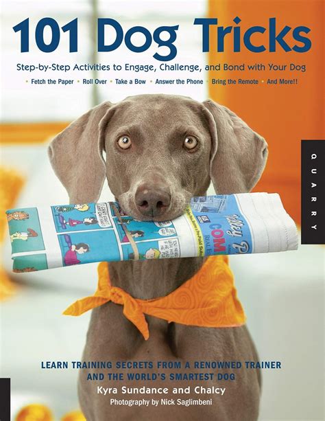 Dog Training Books to Get Your Pup on The Right Path