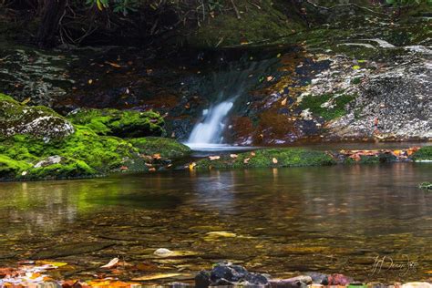 Lower Bubbling Spring Branch Falls