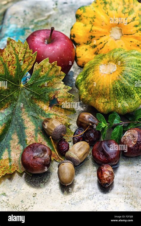 Autumn still life Stock Photo - Alamy