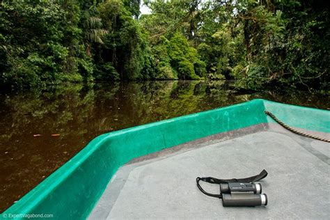 Wildlife Safari Through Tortuguero National Park • Expert Vagabond